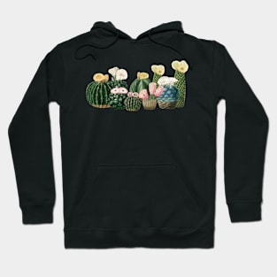 Cactus Garden Hoodie